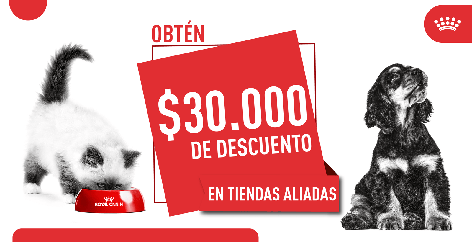 Royal Canin Banner